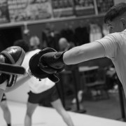 New Boxing