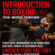 Introduction to Boxing